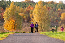 two walkers enjoying Sence Valley Forest Park, the site of a former colliery, New plantation, Autumn. Leicestershire, UK. November 2010. Model released