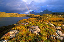 Rainbow over a highland tarn. Assynt, northwest highlands, Scotland, May.