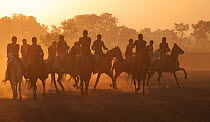 Young police riders training on horses at sunrise, Bhavnagar Police Station, Gujarat, India, January 2011
