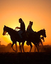 Silhouette of two traditionally dressed Indian riders, mounted on Kathiawari mares, backlit at sunset, in Gujarat, India, January 2011, Model released