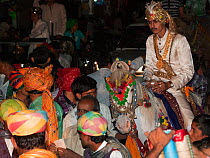 Bride groom mounted on a white Kathiawari mare, decorated for his wedding, Chalala, Gujarat, India, January 2011