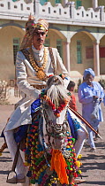 Bride groom mounted on a white Kathiawari mare, decorated for his wedding, Chalala, Gujarat, India, January 2011
