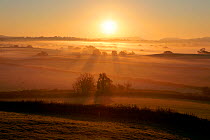 Sun rising over misty farmland landscape, near Wells, Somerset, UK, November 2010