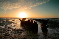 Old wooden hull of ship or barge sunk into the sands at Berrow Flats, Bristol Channel, Somerset, UK. October 2010