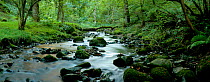 Stream flowing though Wilmersham Wood, near Porlock, Exmoor National Park, Somerset, UK. September 2010. Digital composite