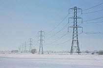 Winter landscape with National Grid electricity pylons crossing the Somerset Levels, Near Godney village, Somerset, UK. December 2010
