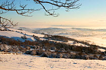 Winter landscape, Mendip Hills at Deerleap looking south towards Somerset Levels, Somerset, UK. December 2010