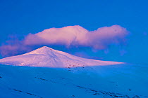 A snowy mountain peak lit by low crepuscular light before sunset. Ordesa National Park, Pyrenees, Aragon, Spain, February 2009.