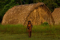 Huaorani man walking with his blowgun in front of traditional forest dwellings. Bameno Community, Yasuni National Park Ecuador, May, 2007. Model release B#1.