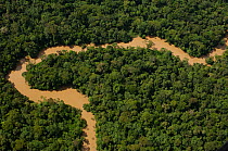 Tiguino River seen from the air. Yasuni National Park, Ecuador, June 2007.
