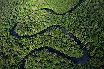 Meandering river in Cuyabeno Reserve seen from the air. Ecuador, June 2007.