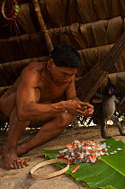 Huaorani man making a feather crown. The crowns are made from a split vine and feathers from various birds such as toucans, parrots and macaws are glued on with heated bees wax. Gabaro Community, Yasu...