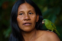 Huaorani Indian woman with her pet Cobalt-winged Parakeet (Brotogeris cyanoptera). Gabaro Community, Yasuni National Park, Ecuador, June 2007. Model release #GA12.