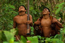 Huaorani Indian hunters looking up into the canopy. The man on the left has a howler monkey and a coati. Gabaro Community, Yasuni National Park, Ecuador, June 2007. Model release #GA07 and #GA22.