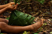 Huaorani Indian girl making a basket from palm leaves. Gabaro Community, Yasuni National Park, Ecuador, June 2007.