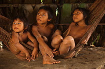 Huaorani Indian children in hammock. Gabaro Community, Yasuni National Park, Ecuador, June 2007.
