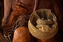 Huaorani Indian woman making a shigra. Shigras are hand-knotted bags made from a fibre extracted from a palm leaf. The fibre is dryed and sun bleached before being rolled into sting for either bags or...