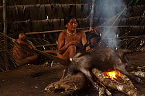 Huaorani Indian burning the hair off of a peccary before cutting it up to either boil or smoke it. Bameno Community, Yasuni National Park, Ecuador, May 2007. Model release #5.