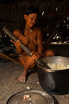 Huaorani woman making chicha,  an alcoholic beverage. She has removed her false teeth to chew the yuca (casava). She then spits it into the pot for boiling and it will then be left to ferment for a fe...