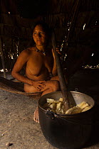 Huaorani woman making chicha,  an alcoholic beverage. She has removed her false teeth to chew the yuca (casava). She then spits it into the pot for boiling and it will then be left to ferment for a fe...