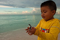 A child holding a newly hatched turtle. Marine Turtle Sanctuary of Xcacel and Xcacelito, Quintana Roo, Yucatan Peninsula, Mexico. Model release #YP1.