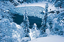 Winter landscape with woodland, river, ice formations and thick snow, Kuusamo, Finland, February 2010