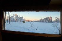 View from wildlife watching and photography hide inwinter, Kuhmo, Northern Finland, November 2010