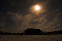 Full moon lighting up the winter landscape at night, November