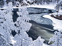 Winter landscape with woodland, river, spiral ice formations and thick snow, Kuusamo, Finland, February 2009