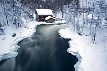Wooden hut in winter landscape with woodland, river and thick snow, Kuusamo, Finland, February 2009
