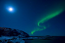 Northern lights in moonlit sky, northern Finland, March 2009