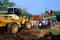 Indian / Asian rhinoceros (Rhinoceros unicornis) being loaded into transport crate at Chitwan NP, Nepal, for translocation to Royal Bardia NP, Nepal, 2003