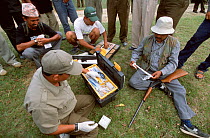Scientists and dart shooter preparing equipment to dart Indian / Asian rhinoceros (Rhinoceros unicornis) for sedation and translocation to Royal Bardia NP, Chitwan NP, Nepal, 2003