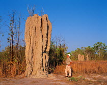 Man standing beside a tall termite mound (isoptera) Australia