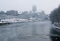 Frozen River Severn and Worcester Cathedral on 26th December 2010. The river last froze bank-to-bank in 1961.