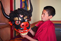 Young Buddhist monk looking at a mask representing 'Yab'.  Galdan Namge Lhatse monastery, Tawang, Arunachal Pradesh, India, February 2011.