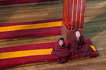 Two  young Buddhist monks after the morning Pudja in the Galdan Namge Lhatse monastery. Tawang, Arunachal Pradesh, India, February 2011.
