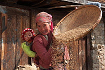 Young woman with child separating seeds from chaff. Shurbi village, near Tawang, Arunachal Pradesh, India, February 2011.
