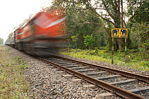 A train speeding past an Elephant crossing sign  Assam, India, February 2011.