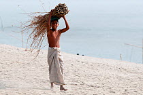 Young boy carrying sheaf of branches on the bank of the Brahmaputra. Vicinity of Tezpur, Assam, India, February 2001.