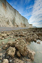 Rock-pools and chalk cliffs. Ault, Somme, NW France, July 2010.