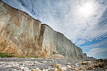 Chalk cliffs at Ault, Somme, NW France, July 2010.