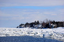 Ice floe melting along the shore of St Lawrence River. Berthier-sur-Mer, Quebec, Canada, January 2009.