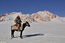 A Kyrgyz shepherd mounted on a pony with mountain peaks in the distance. Naryn National Park, Kyrgyzstan, Central Asia, November 2009.