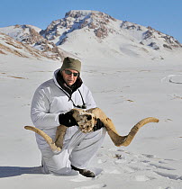 Photographer Eric Dragesco holding the scalp and horns of a Marco Polo Sheep (Ovis ammon polii) with mountainous landscape in the distance. Tajikistan, Central Asia, November.