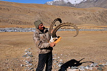 Man holding mounted skull of a Siberian Ibex (Capra sibirica). Naryn National Park, Kyrgyzstan, Central Asia, November.