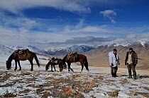 Two people standing by their horses on an expedition to find Tien Shan Argali (Ovis ammon karelini). Naryn National Park, Kyrgyzstan, Central Asia, November.