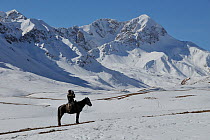 Man riding horse scanning horizon, on expedition to find Tien Shan Argali (Ovis ammon karelini) in vast mountainous landscape. Naryn National Park, Kyrgyzstan, Central Asia, November.