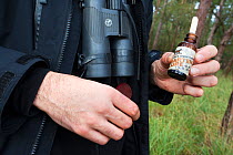 Conservationist with scent lure for attracting Pine martens (Martes martes) UK, October 2009