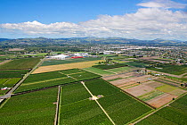 Aerial view of orchards next to the city of Hastings. Hawkes Bay, New Zealand, November 2009.